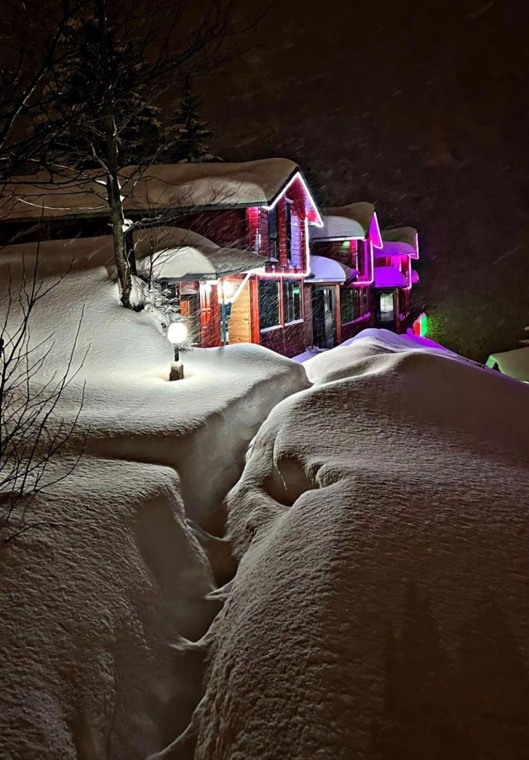 Ayder Villa Gencal Екстериор снимка