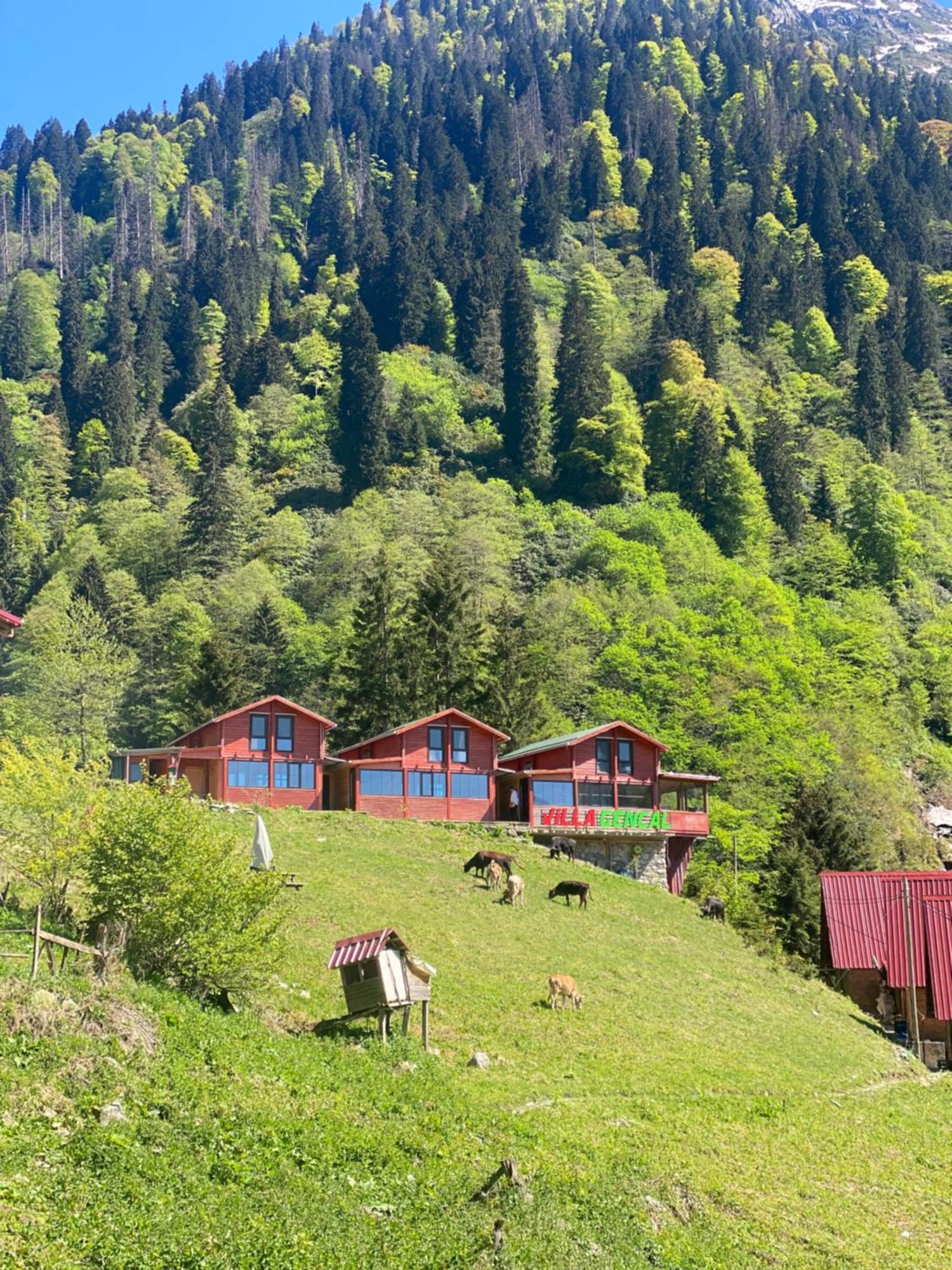 Ayder Villa Gencal Екстериор снимка