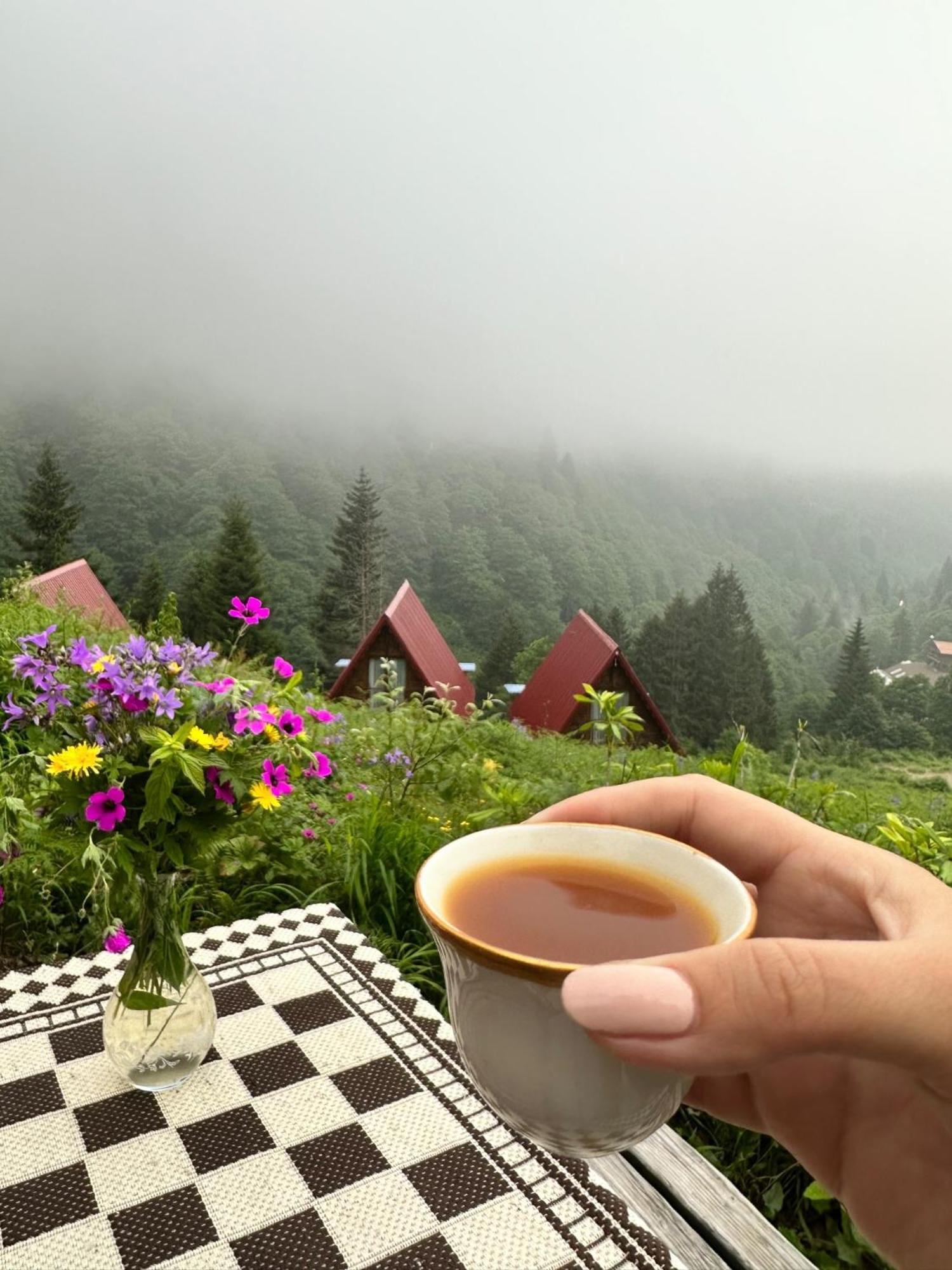 Ayder Villa Gencal Екстериор снимка