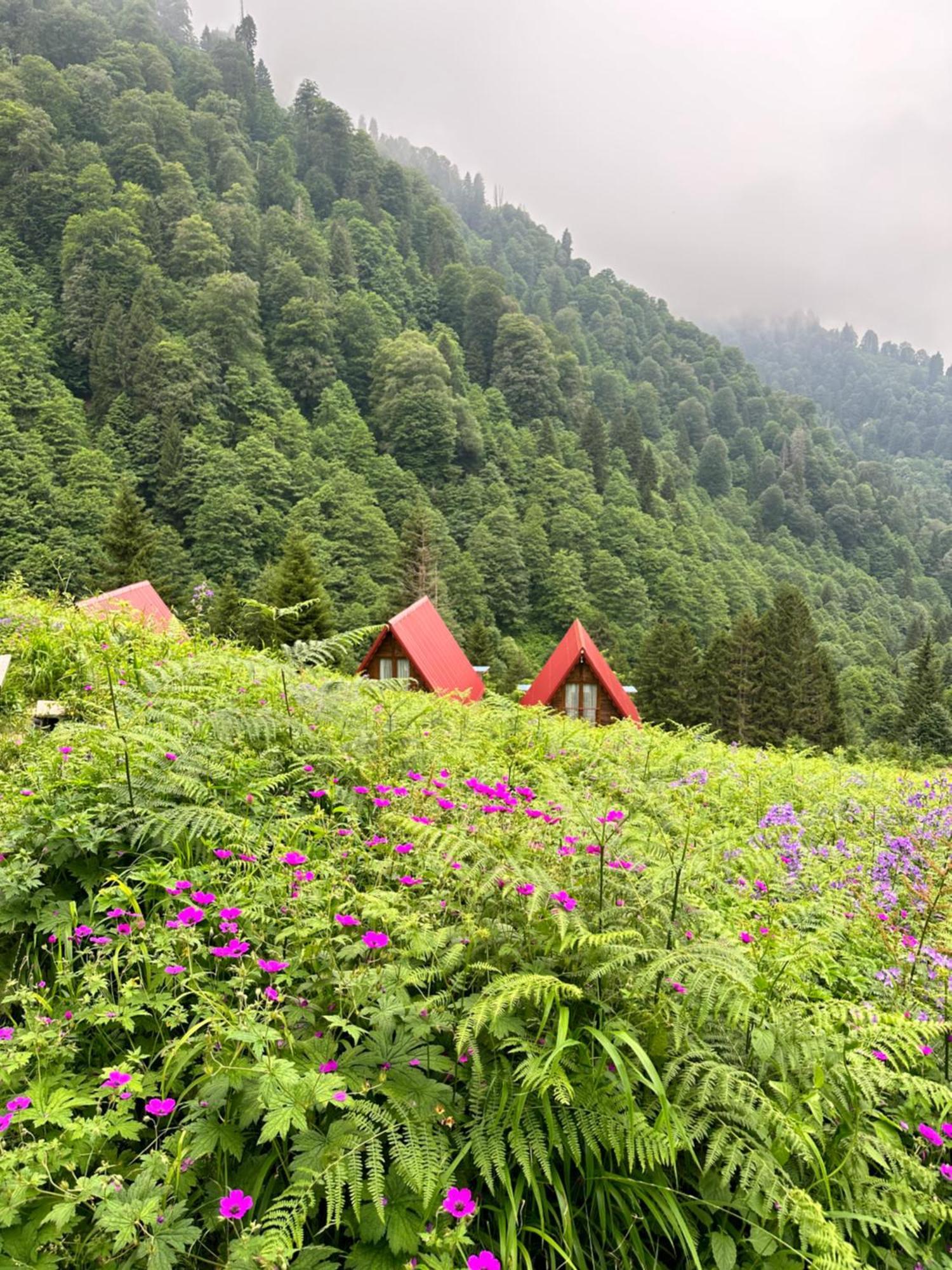 Ayder Villa Gencal Екстериор снимка