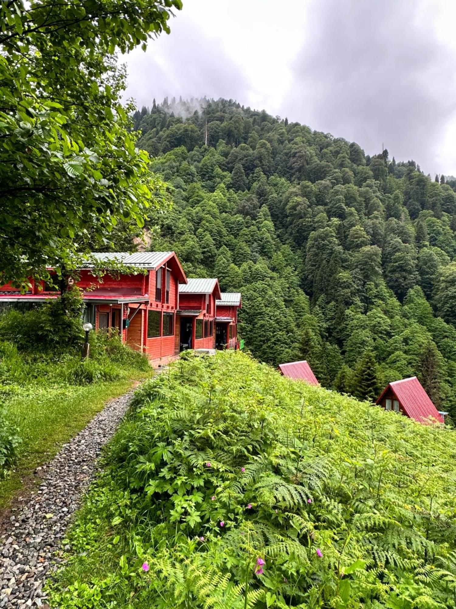 Ayder Villa Gencal Екстериор снимка