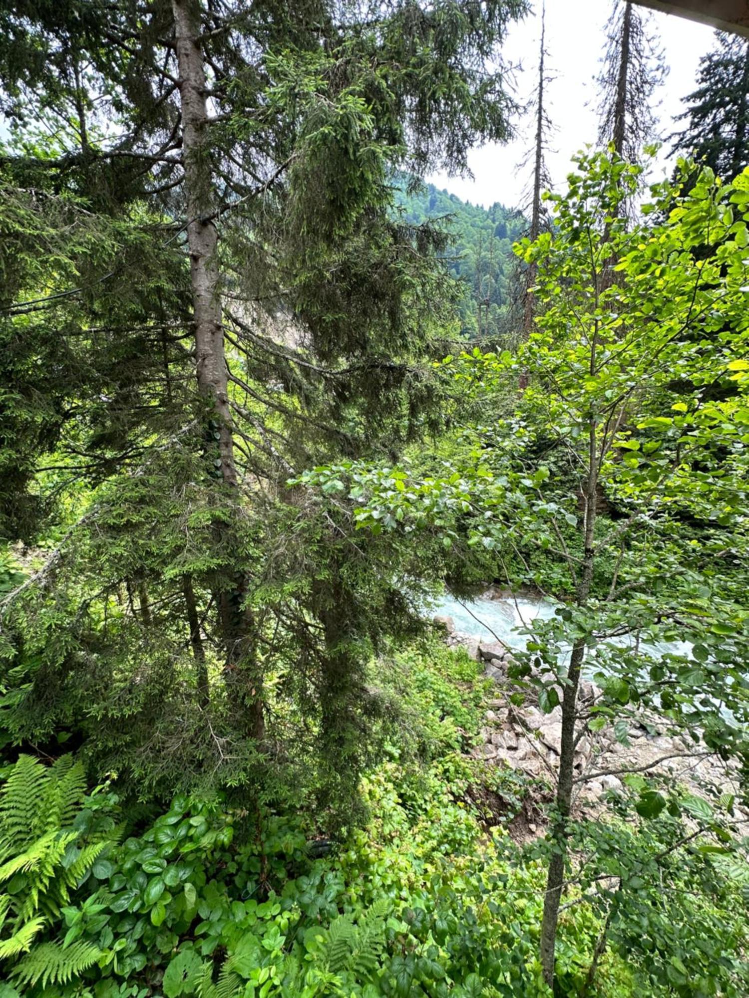 Ayder Villa Gencal Екстериор снимка