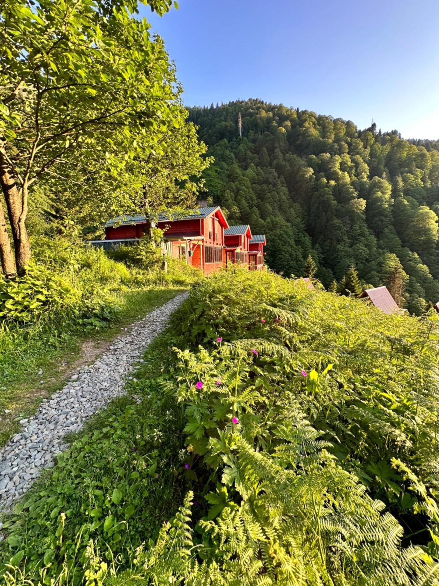 Ayder Villa Gencal Екстериор снимка