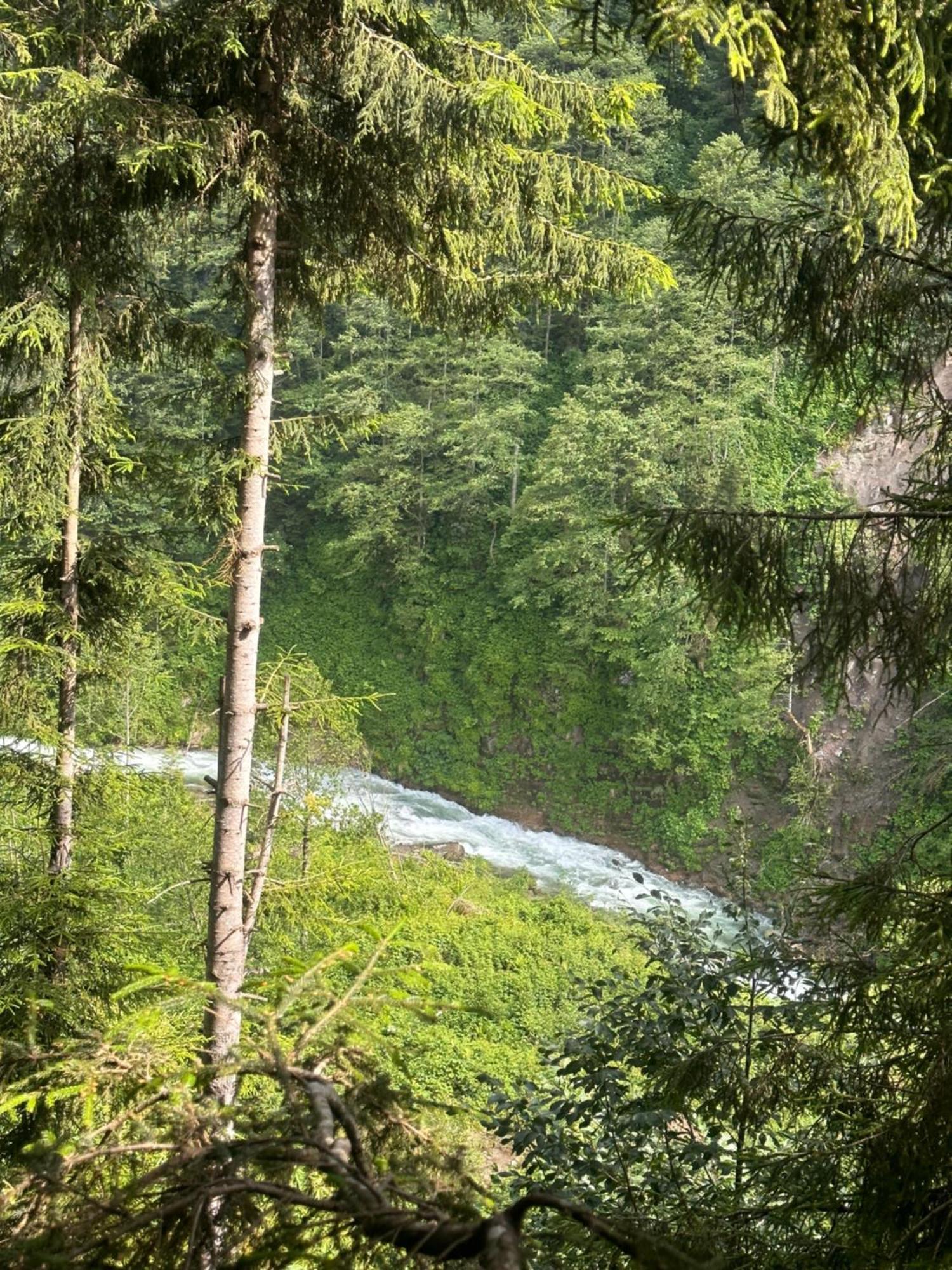 Ayder Villa Gencal Екстериор снимка